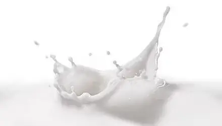 Leche