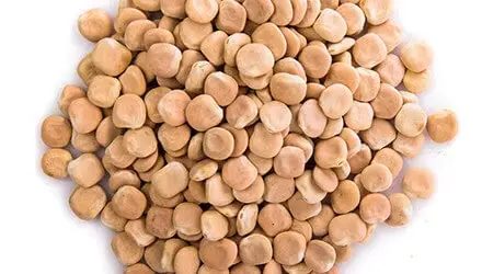 Altramuces