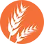 Gluten