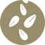 Sésamo