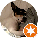 Sapere Aude profile picture